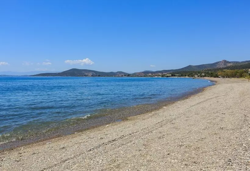 هتل 180 South Seaside