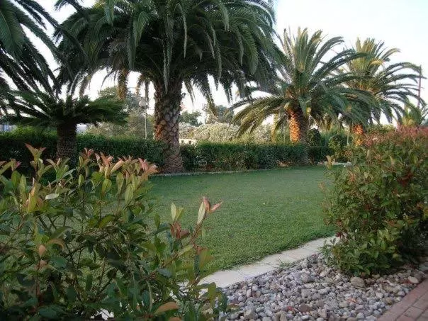 هتل Ocean Pacific