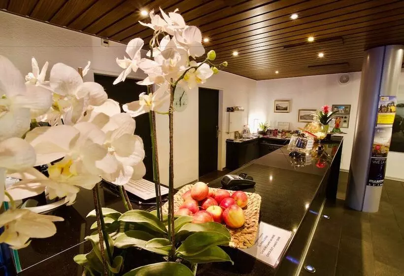 酒店 Hôtel Du Rhône