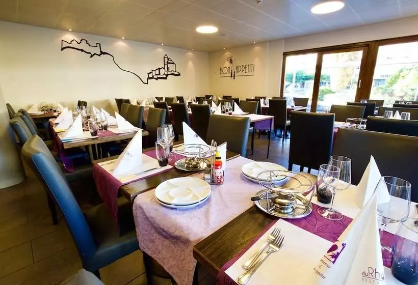 酒店 Hôtel Du Rhône