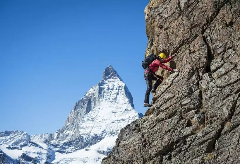 Swiss Alpine Hotel Allalin