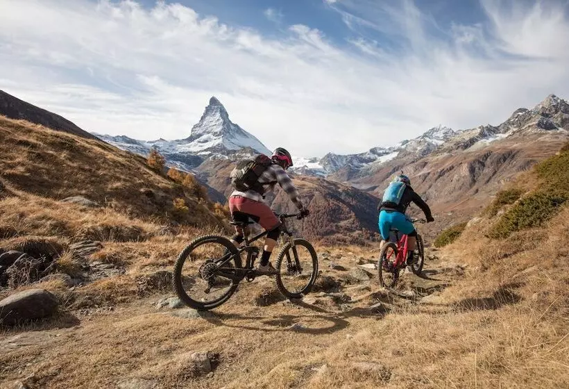 Swiss Alpine Hotel Allalin