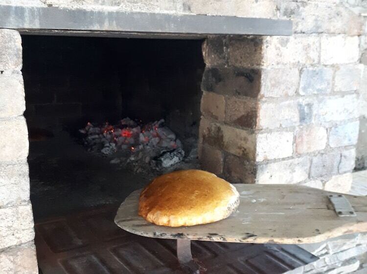 Nocleg ze śniadaniem Iris Mini