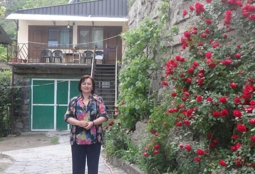 Nocleg ze śniadaniem Iris Mini