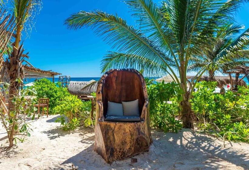 فندق Kanan Tulum Treehouse, Rooftop, Beach Club & Spa   Adults Only
