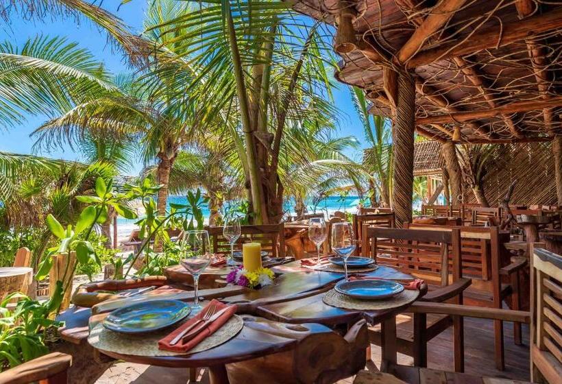 فندق Kanan Tulum Treehouse, Rooftop, Beach Club & Spa   Adults Only