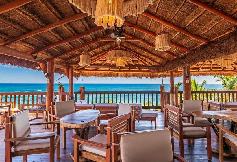 فندق Kanan Tulum Treehouse, Rooftop, Beach Club & Spa   Adults Only