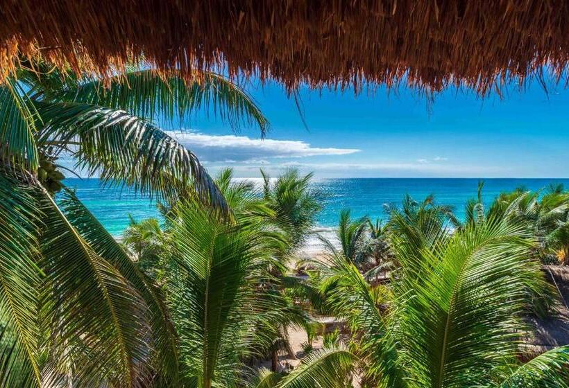 فندق Kanan Tulum Treehouse, Rooftop, Beach Club & Spa   Adults Only