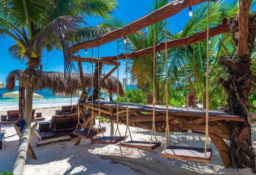 فندق Kanan Tulum Treehouse, Rooftop, Beach Club & Spa   Adults Only