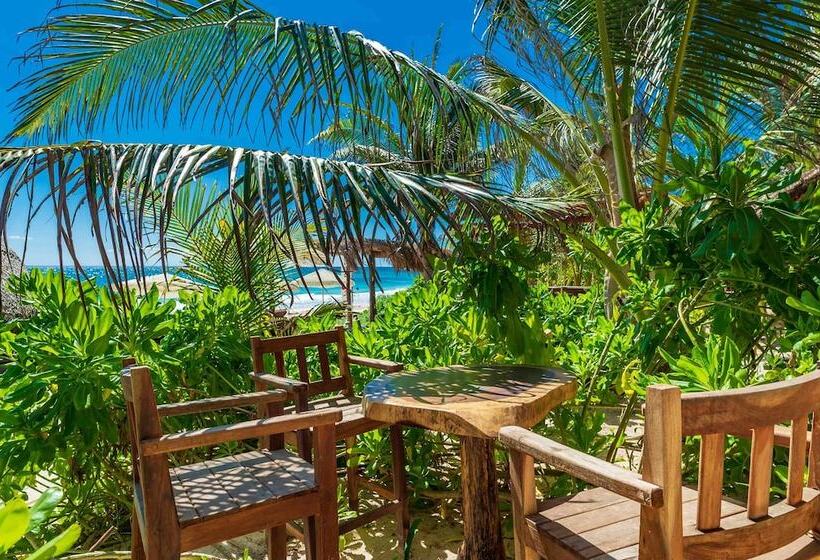 فندق Kanan Tulum Treehouse, Rooftop, Beach Club & Spa   Adults Only