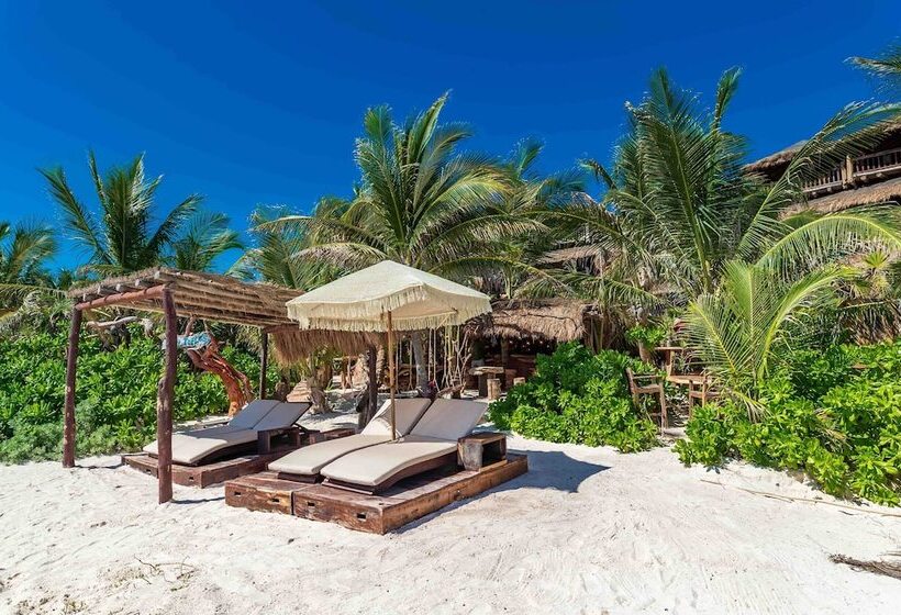 فندق Kanan Tulum Treehouse, Rooftop, Beach Club & Spa   Adults Only