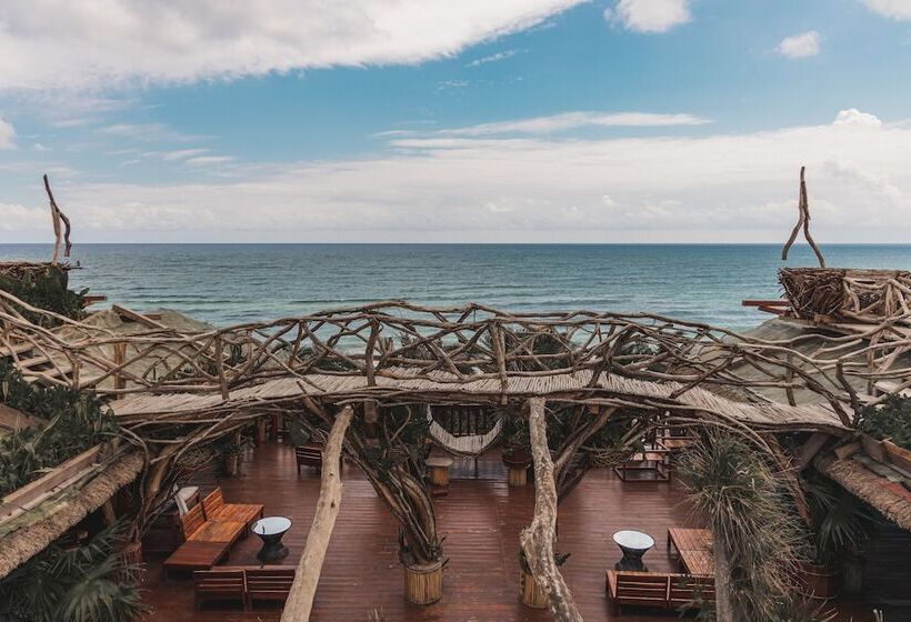 فندق Kanan Tulum Treehouse, Rooftop, Beach Club & Spa   Adults Only