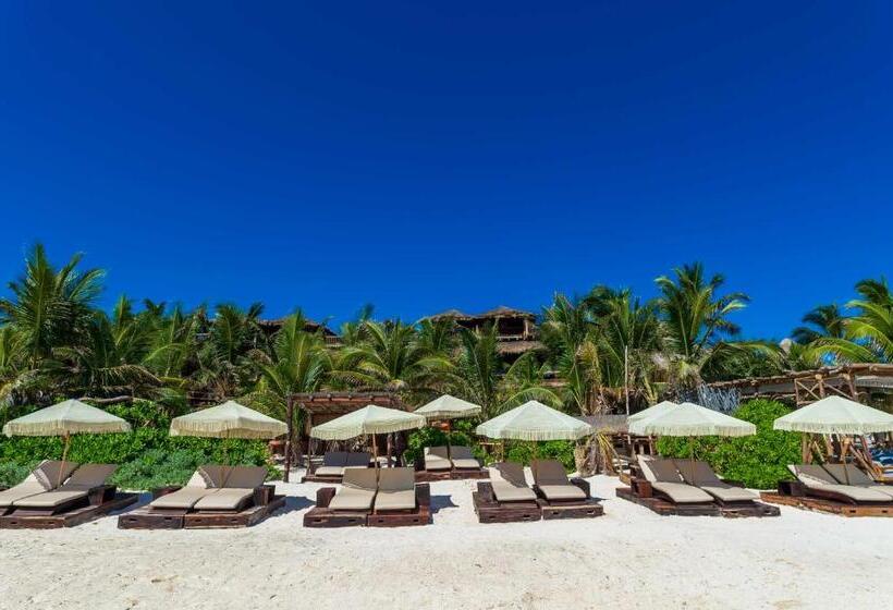 فندق Kanan Tulum Treehouse, Rooftop, Beach Club & Spa   Adults Only