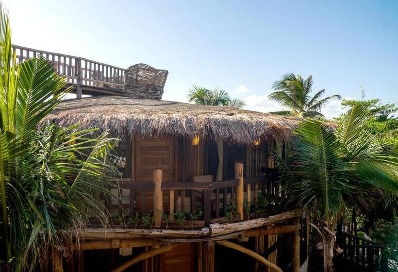 فندق Kanan Tulum Treehouse, Rooftop, Beach Club & Spa   Adults Only