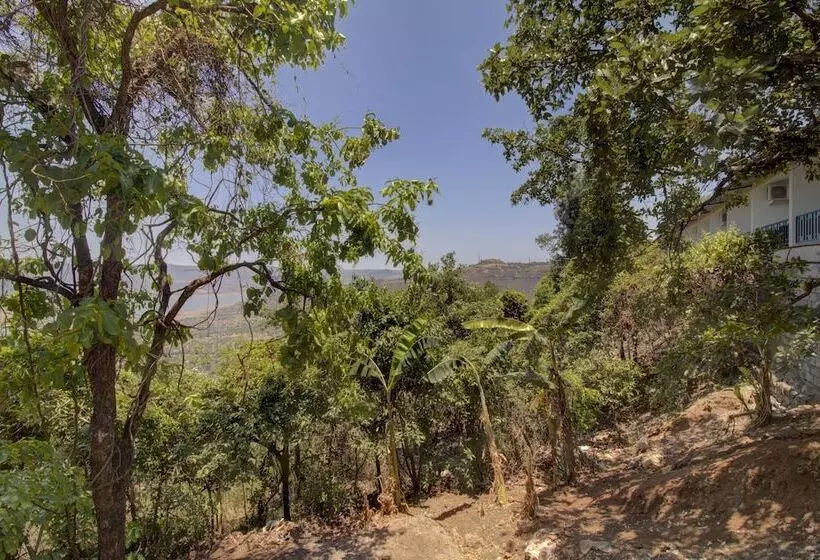 Hotelli Rainforest Villa