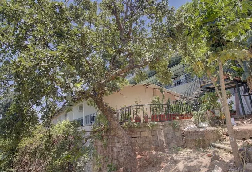 Hotelli Rainforest Villa