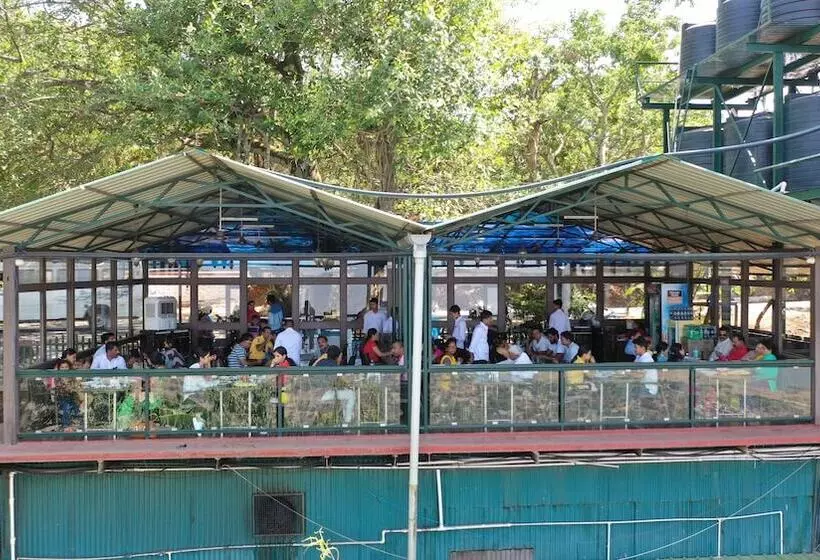 Hotelli Rainforest Villa