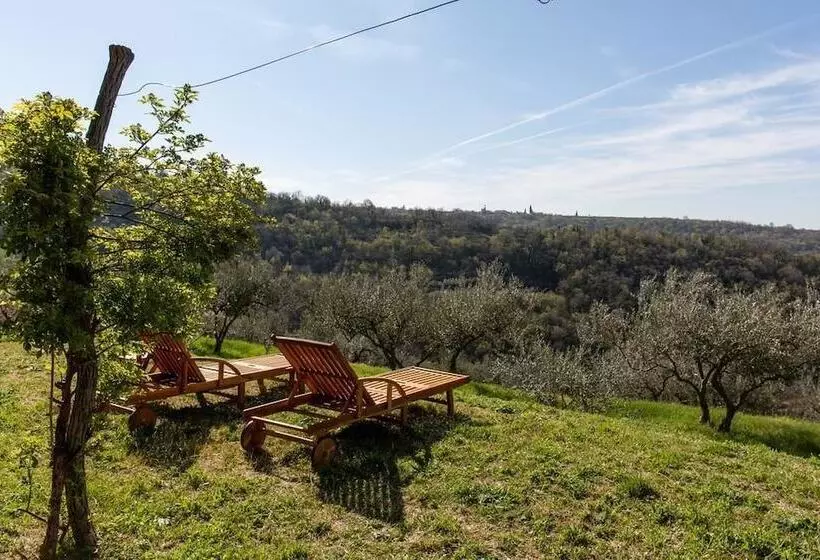 پانسیون Residence Gold Istra