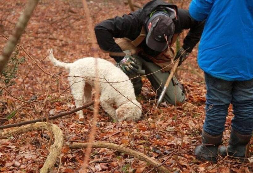 پانسیون Residence Gold Istra