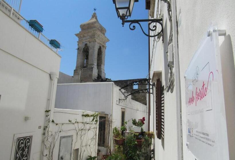 Vicolo Fiorito B&b