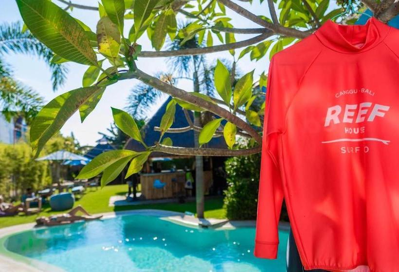 הוסטל Bali Reef House Surfco