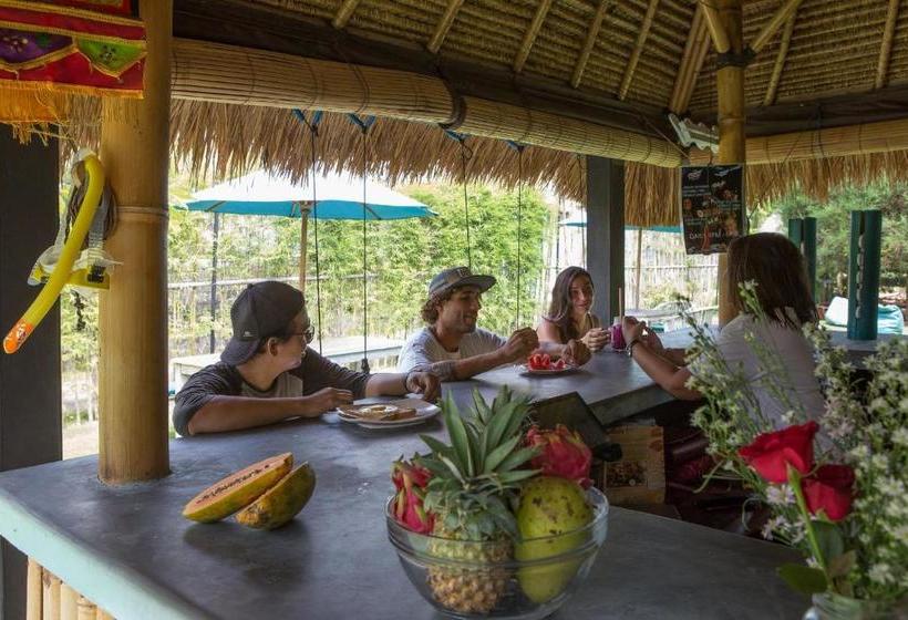 הוסטל Bali Reef House Surfco