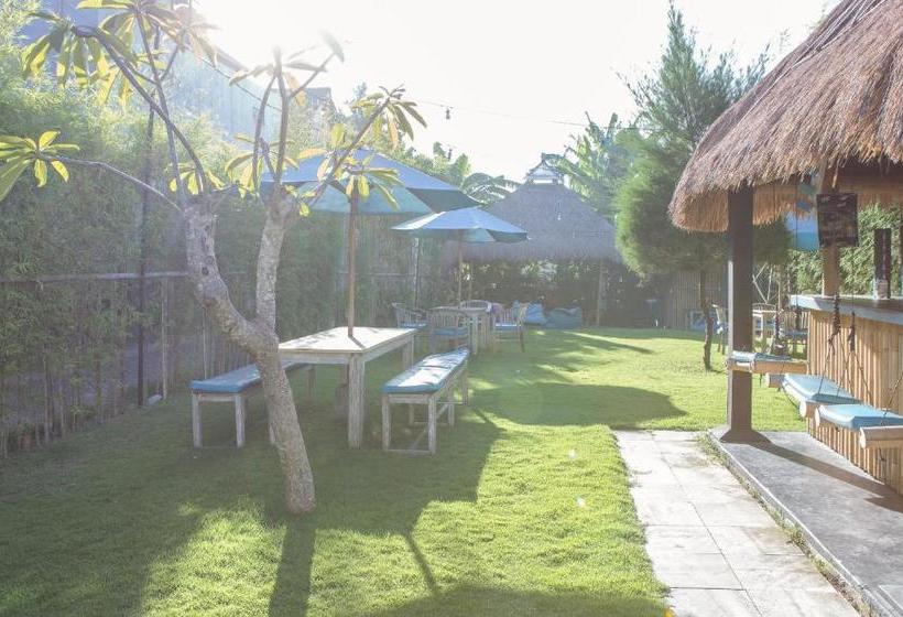 הוסטל Bali Reef House Surfco