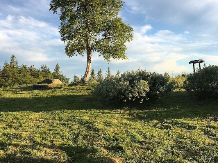 ベッドアンドブレックファースト Lifjellstua