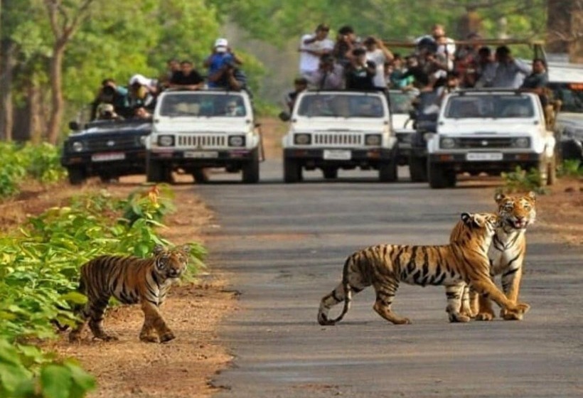 Отель Indira Nikunj Rubystone Exotic