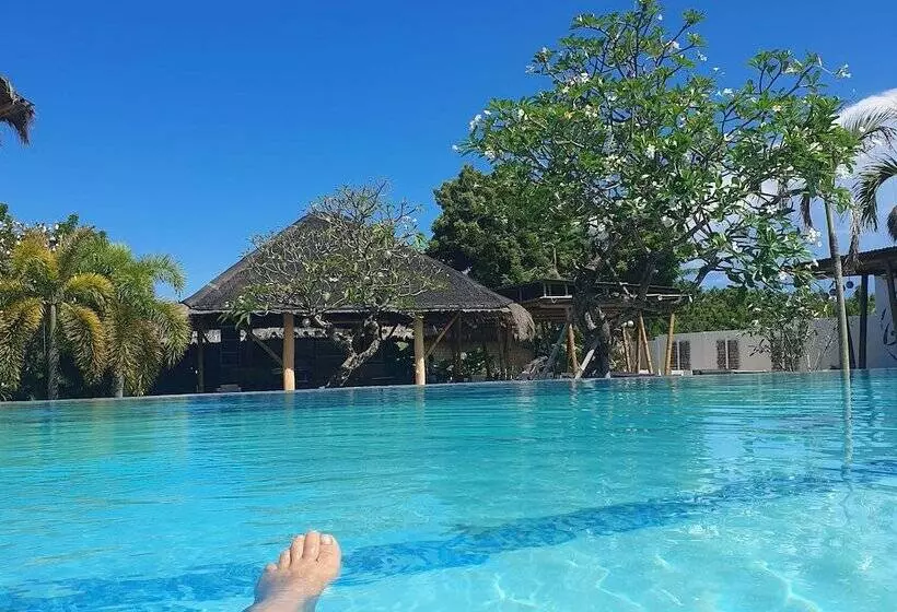 Hotelli Liquid Dive Resort