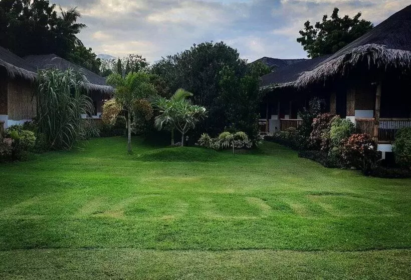 Hotelli Liquid Dive Resort