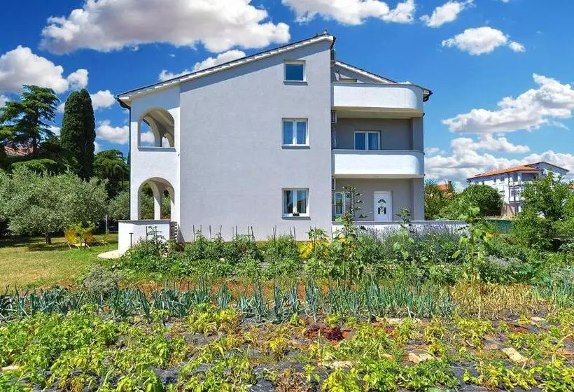 Apartments Elizabeta 1701