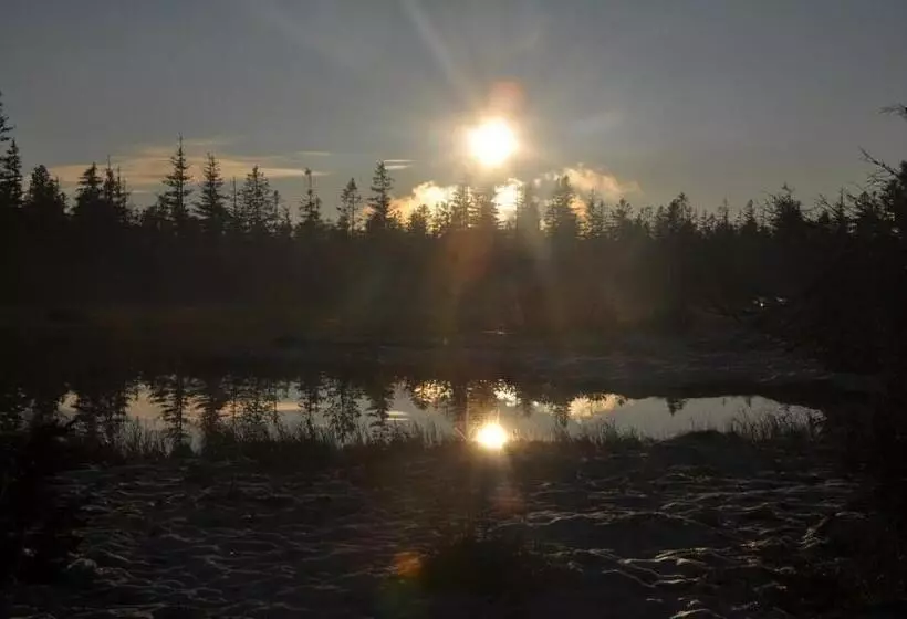 Gasthof Pension Berghof