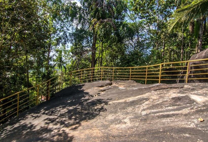 Отель Edakkal Village Resort