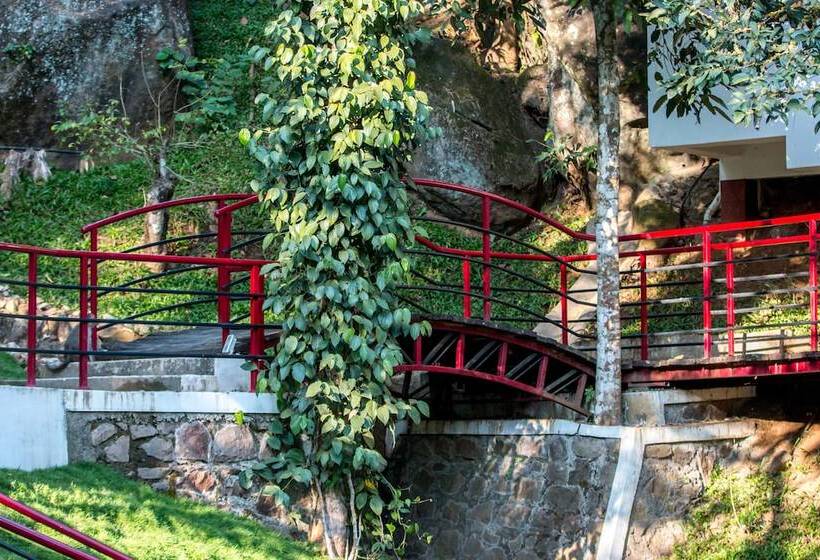Отель Edakkal Village Resort