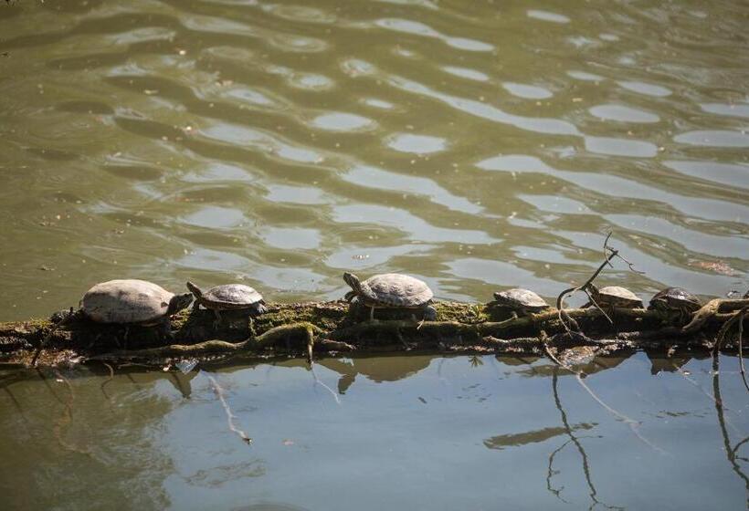 בית מלון כפרי Agriturismo Casa Fiorindo
