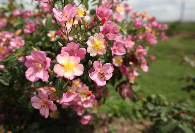 בית מלון כפרי Agriturismo Casa Fiorindo