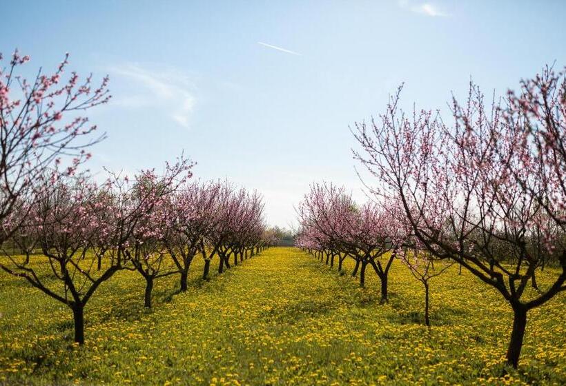 בית מלון כפרי Agriturismo Casa Fiorindo