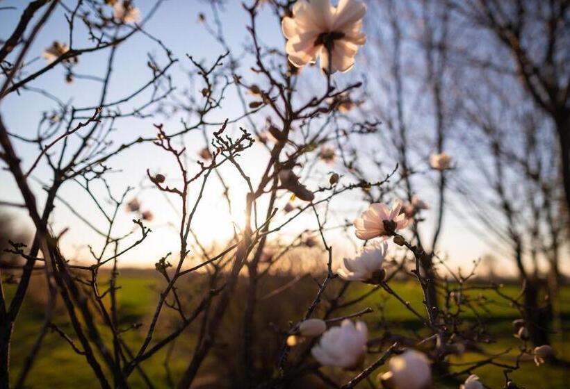 בית מלון כפרי Agriturismo Casa Fiorindo