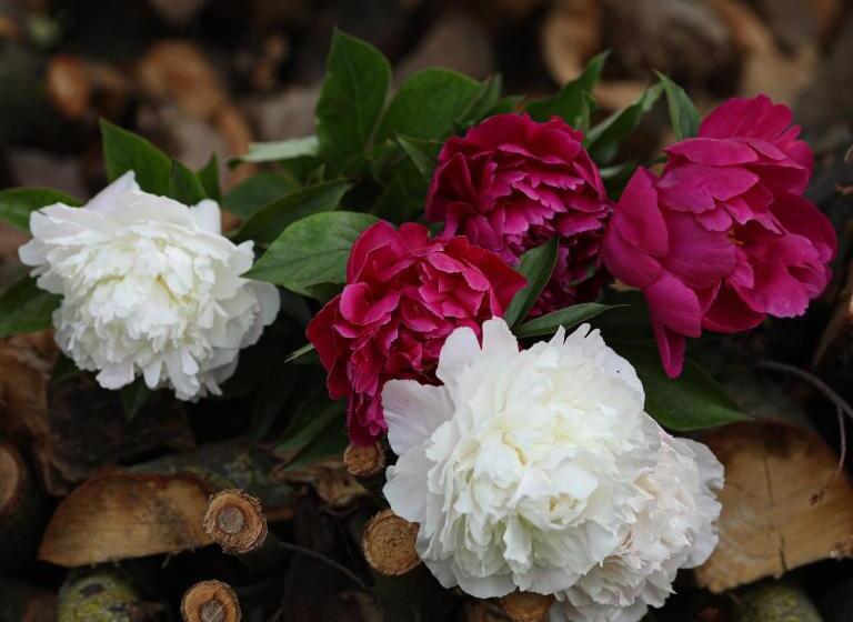 בית מלון כפרי Agriturismo Casa Fiorindo