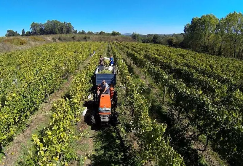 هتل روستایی Solar Das Bouças
