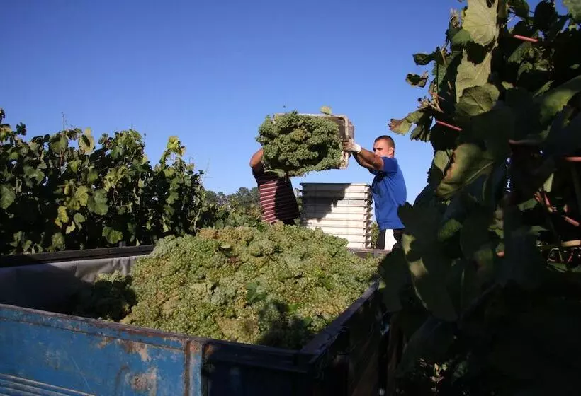 هتل روستایی Solar Das Bouças