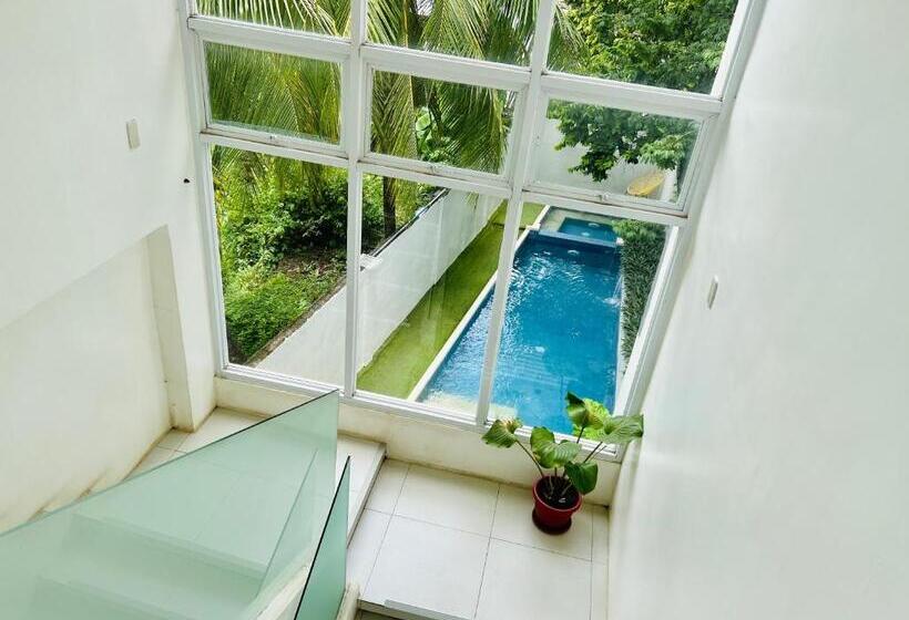 בית מלון כפרי Treetop Suites