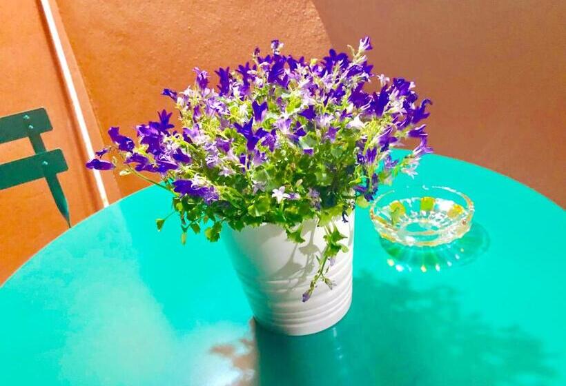 פנסיון Chiaro Di Luna