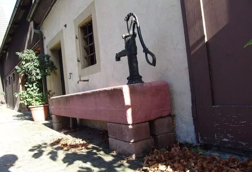 Pension Gasthaus Linde