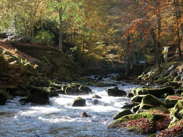 Gasthof Pension Berghof