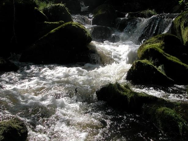 Gasthof Pension Berghof