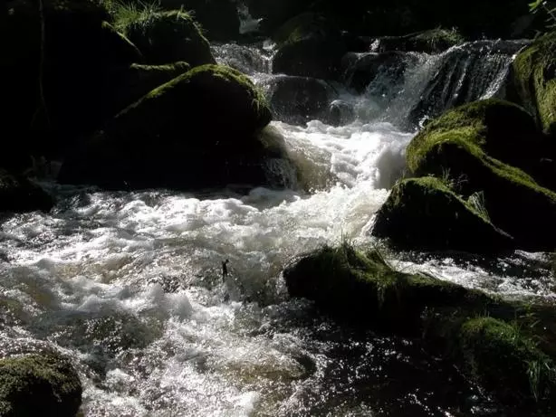 Gasthof Pension Berghof