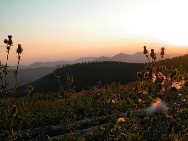 Gasthof Pension Berghof