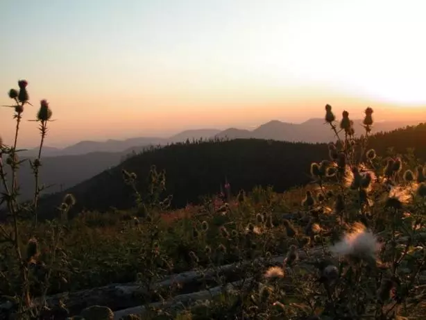 Gasthof Pension Berghof